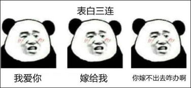 素质三连什么梗素质三连表情包