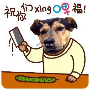逗比的图片带表情包田里