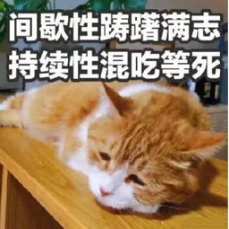 混吃等死的表情包吃好喝好,长生不老