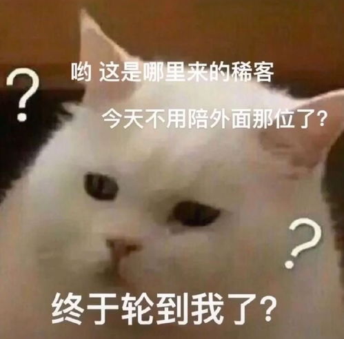 当男朋友不回消息时