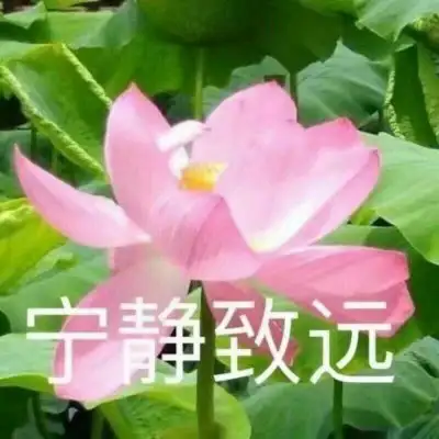 妈妈粉都在用的佛系养老头像了解一下