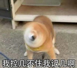 高温三伏天来袭,情绪居然也会中暑