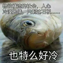 形容人脸皮厚的表情包鱼鱼