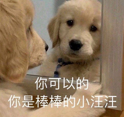 可可爱爱