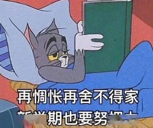 见不了面的日子,我也在努力发光心事电台