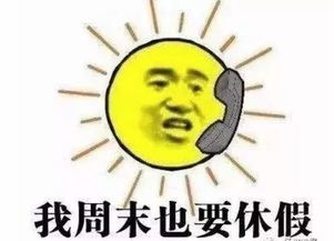短暂休整,雨水整装待发