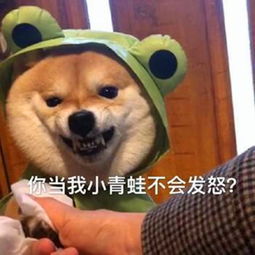 最近隐形秀恩爱表情包火了,其中的甜是小柠檬精们不懂的