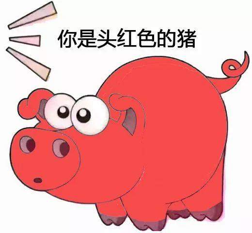 抖音七彩猪表情包大全高清无水印gif动态图分享