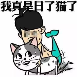 跪下唱征服的表情包后辈