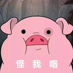 安利一套火得不要不要的表情包,必要时候甩他一只猪