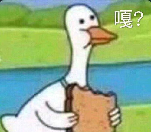 狗头护体表情包无糖可乐