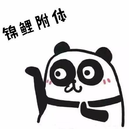 关晓彤长腿熊猫表情包厦大