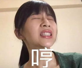 papi酱最新最全表情包,根本停不下来拿去玩吧