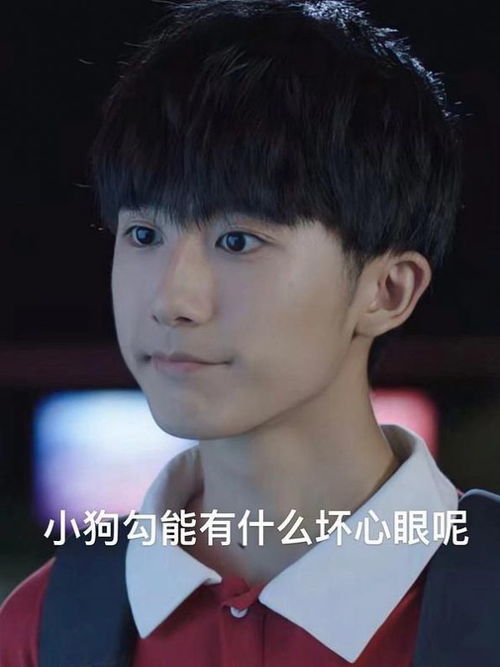 小狗勾坏心眼多着呢表情包图片app下载小狗勾坏心眼多着呢表情包图片最新版下载