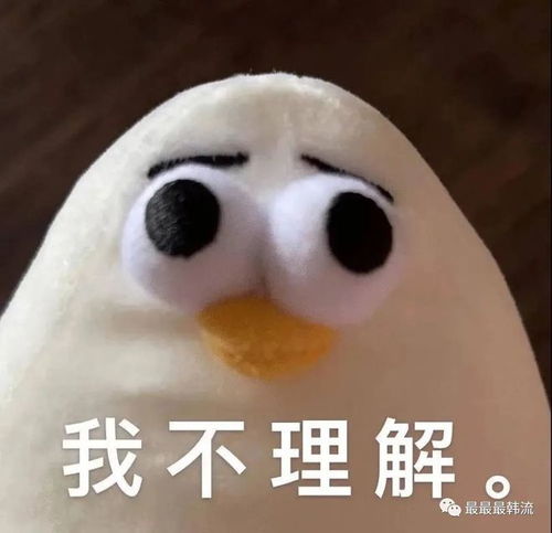 这又在发什么疯呢