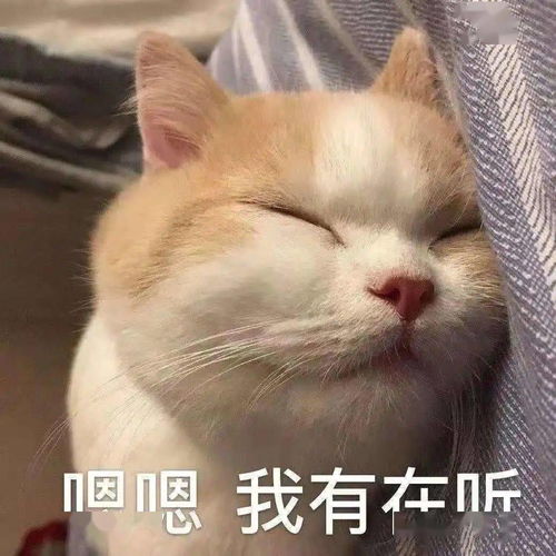 上应寒假季这些心理调适小技巧你get了吗