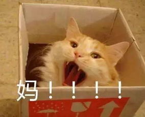 一个妈妈的暑假扎心总结我太太太难了