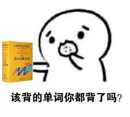 表情包斗图包怎么做法语