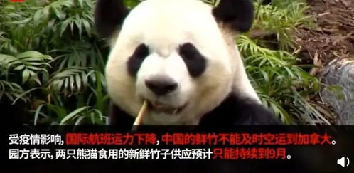 微博严禁财经博主出现荐股等违法行为小妇人定档七夕上映小南早报