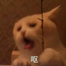 笑话十条我表哥当年是个学霸聪明绝顶,一举考上了北大