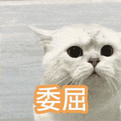 政府发布兰陵抢面囤粮的注意