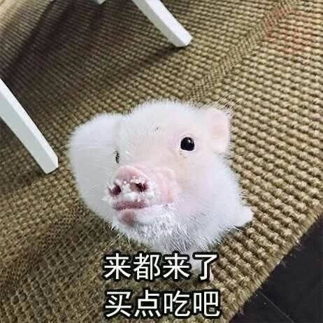 猪猪表情包能吃是福,吃饱了才有力气减肥