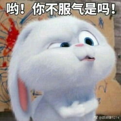 可爱兔兔表情包抓饭