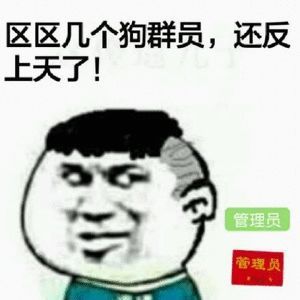 001期沙雕表情包关键词区区管理员反上天了