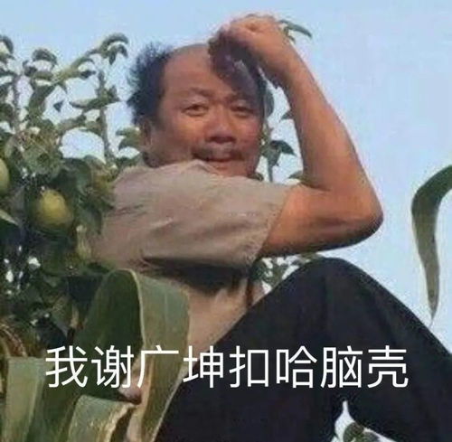 最火表情包揍人乡村爱情