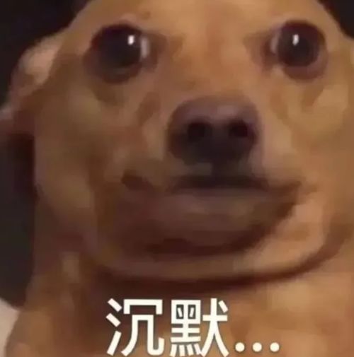 惊了她彻底不装了