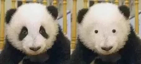 3周黑眼圈消失无踪,关晓彤有了它,再也不会输给景甜了