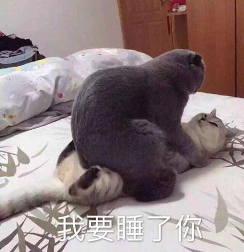 如果将你所玩的某个游戏改编成恋爱养成游戏会是怎么样