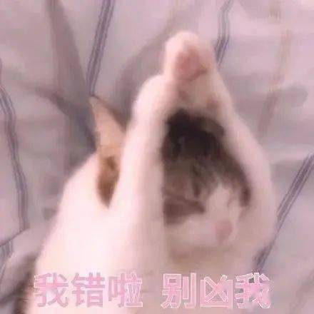 发的什么图快点撤回丨第194期喵表情