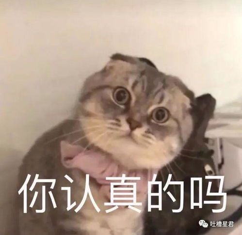 别人家的网恋这种方式秀恩爱,考虑过我们单身人士的感受吗