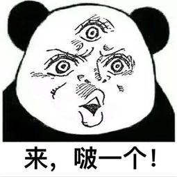 海贼王黑化布林表情包