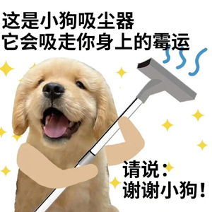 抖音谢谢小狗表情包有哪些谢谢小狗表情包分享咖绿茵手游站