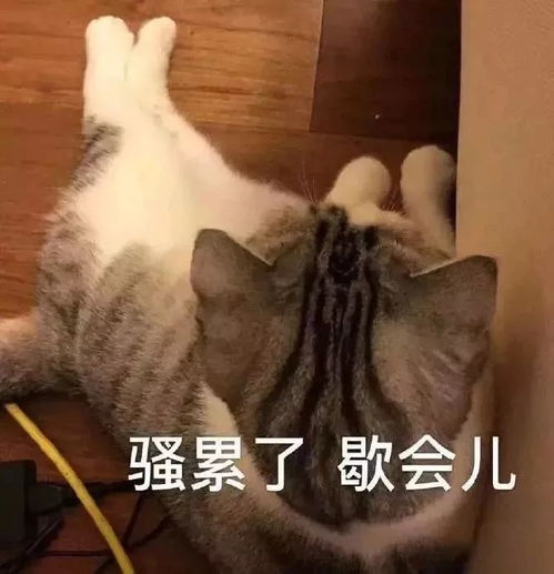新建陌生小号撩男朋友,结果却...被绿现场心态崩了