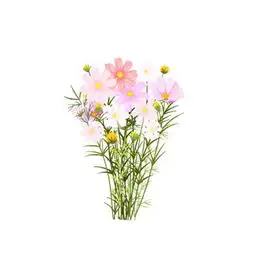 微信唯美小清新鲜花头像2018