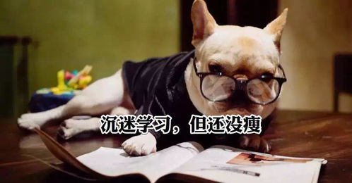 我大一的,现在开始准备考研来得及吗