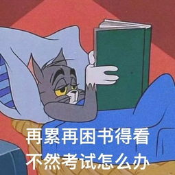 震惊英语期中考倒计时