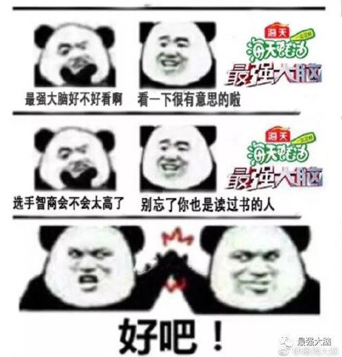 看了最强大脑的表情包三连,强哥竟然更有自信了