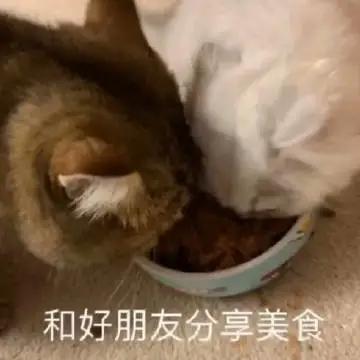 被美女抱抱之后啥感受,内心戏精到没眼看......
