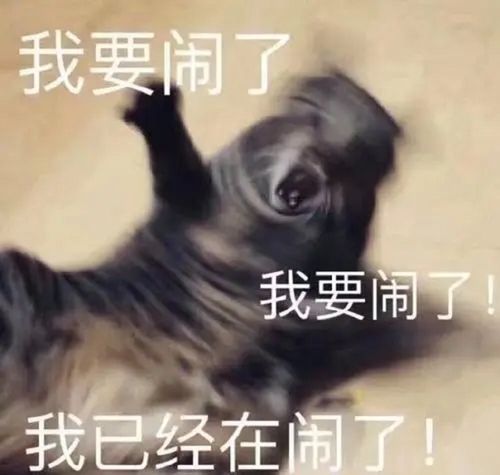 给我看看你的表情包头像