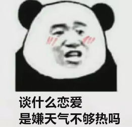 别再追我了表情包男朋友