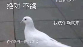 总有吃鸡见真情
