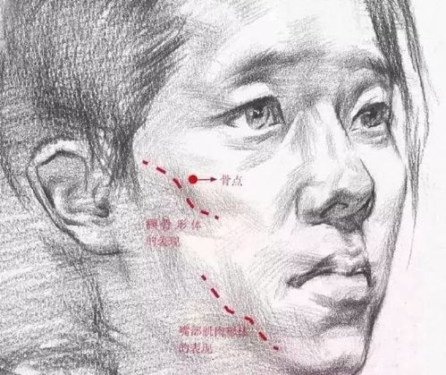技巧如何表现女性素描头像的面部结构只要抓住这几个特点