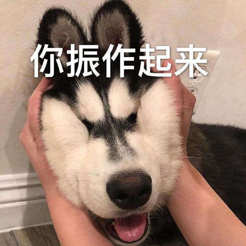 马上要订婚了,因为彩礼,还无意间听到男朋友的姐说我们只会要钱怎么办就是要了个彩礼不应该吗