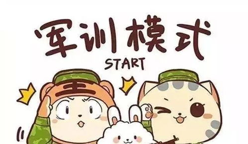 军训整装待发酷暑须知