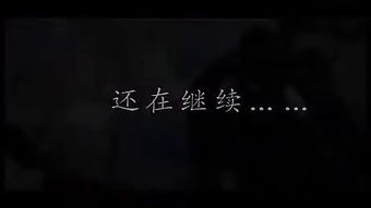 2010年综艺