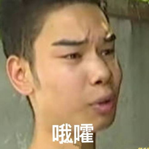火爆网络的租房小哥扬言不进娱乐圈现却上综艺,网友真香警告